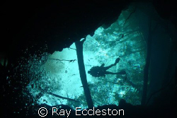 Descending into Buford Springs. Camera Nikon D-200 by Ray Eccleston 